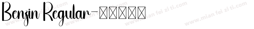 Benzin Regular字体转换